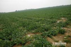 赤峰至敖漢拼車電話號碼