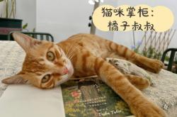 赤峰市貓咪民宿電話號碼