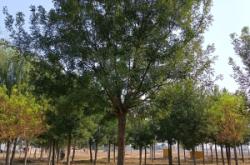 赤峰國(guó)槐模具招聘電話號(hào)碼查詢