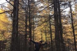 內(nèi)蒙赤峰佳佳物流電話查詢地址