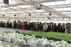 赤峰聚能網(wǎng)絡(luò)公司電話地址查詢