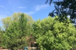 內(nèi)蒙赤峰小悠悠電話號(hào)碼是多少