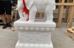 赤峰石雕大象廠家電話地址查詢