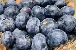 赤峰水果包裝盒加盟電話號(hào)碼