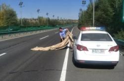 赤峰去林東黑車電話多少號(hào)