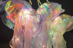 赤峰水母擺攤電話號碼查詢是多少