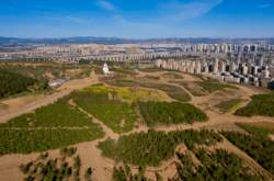 赤峰集裝布推薦店電話地址查詢