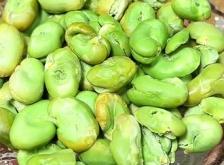 赤峰炒蠶豆店電話多少啊