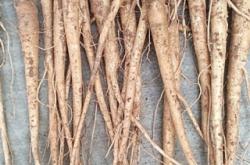 赤峰藥材檢測公司電話號碼查詢