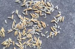 赤峰柚子店鋪地址電話查詢號(hào)碼