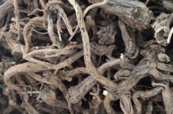 赤峰桔梗生產(chǎn)基地電話號(hào)碼