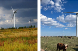 赤峰新能源商超電話地址查詢