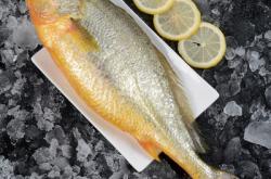 赤峰冰鮮水產(chǎn)批發(fā)電話號碼