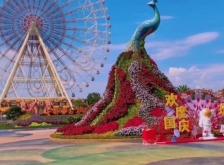 赤峰花仙子鮮花店電話號碼