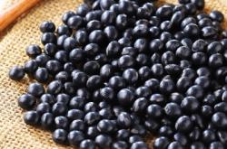 赤峰雜糧黑豆批發(fā)電話地址查詢