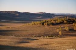 赤峰樺樹林市場電話多少號