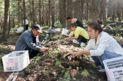 赤峰木頭回收電話地址是多少號