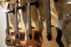 赤峰樂器店在哪里啊電話號碼