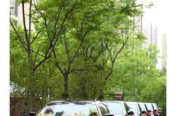 赤峰霸道婚車隊電話號碼查詢