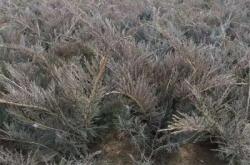 赤峰沙子批發(fā)電話號碼多少