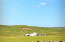 赤峰寄養(yǎng)牛羊的地方電話號(hào)碼