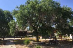 赤峰右旗眾鑫煙花廠電話號(hào)碼