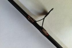 赤峰漁網(wǎng)批發(fā)電話號(hào)碼多少