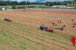 赤峰紙袋加工廠電話地址查詢