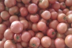 赤峰敖漢鴨脖店電話(huà)號(hào)碼