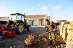 赤峰飼草料批發(fā)電話地址查詢