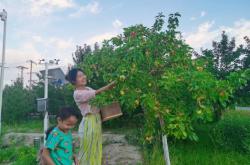 赤峰市天山采摘園電話號碼
