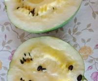 赤峰批發(fā)打瓜機(jī)廠家電話號碼