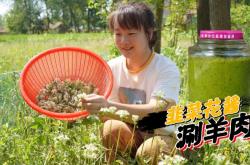 赤峰韭花醬收購電話地址查詢