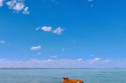 赤峰半日雜貨店電話(huà)號(hào)碼