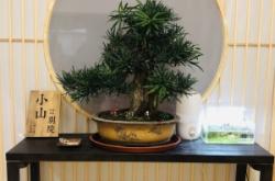 赤峰啟銘按摩院地址電話號碼