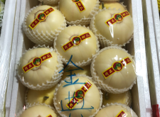 赤峰賣香瓜的電話號(hào)碼是多少