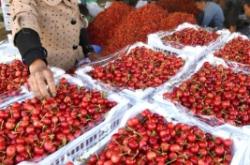 赤峰市水泉咸菜廠電話號碼