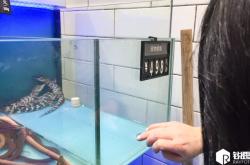 赤峰寵物超市電話多少號