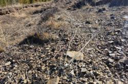 赤峰市松山區(qū)電網電話