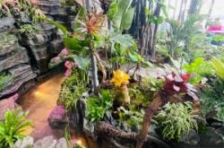 赤峰雨林造景定做店電話號碼