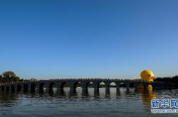 赤峰橋大黃鴨訂餐電話地址查詢