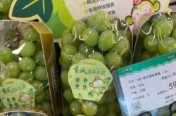 赤峰榴蓮超市電話多少號