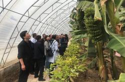 赤峰種植培育合作社電話號(hào)碼