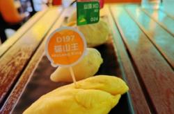 赤峰純果園門店電話號碼查詢