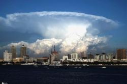 赤峰蘑菇云飯店電話號(hào)碼查詢