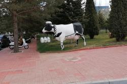 赤峰白石頭溝旅游區(qū)電話號(hào)碼