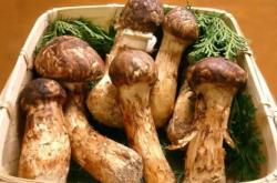 赤峰大北農(nóng)食堂電話號(hào)碼查詢