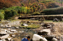 赤峰哪有修行李箱的地方