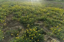 赤峰蕎麥專賣店電話地址查詢