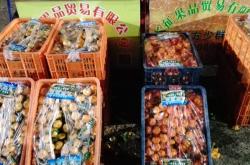 赤峰市水果代賣公司電話號碼